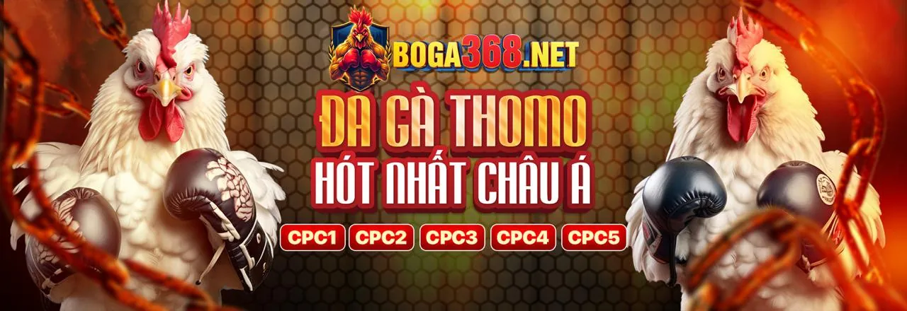 Các Loại Khuyến Mãi bin88