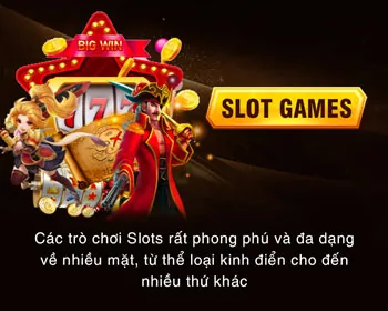 Cá cược thể thao bin88